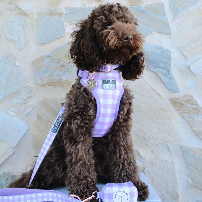 Berry Milkshake | Dog Harness