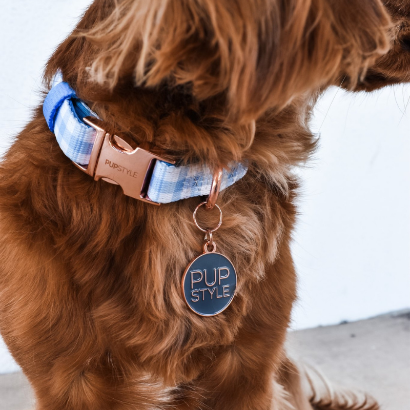 Blueberry Muffin | Suburban Dog Collar