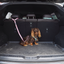 Car Headrest Dog Restraint | Santorini