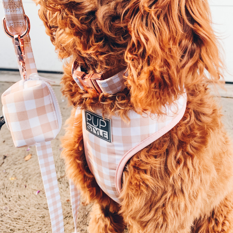 Creme Brulee | Dog Harness