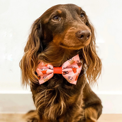 Dashing Through The Snow Xmas Bow Tie