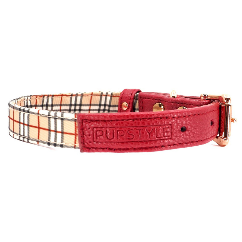 Houndbury City Dog Collar