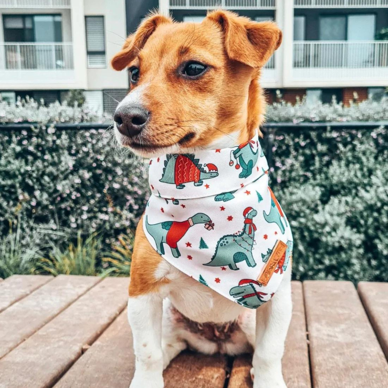 Santasaurus Xmas Bandana