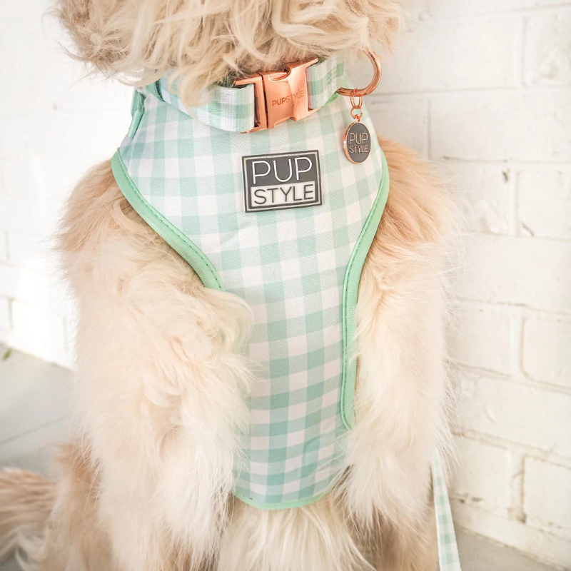 Sweet Apple | Dog Harness