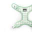 Sweet Apple | Dog Harness