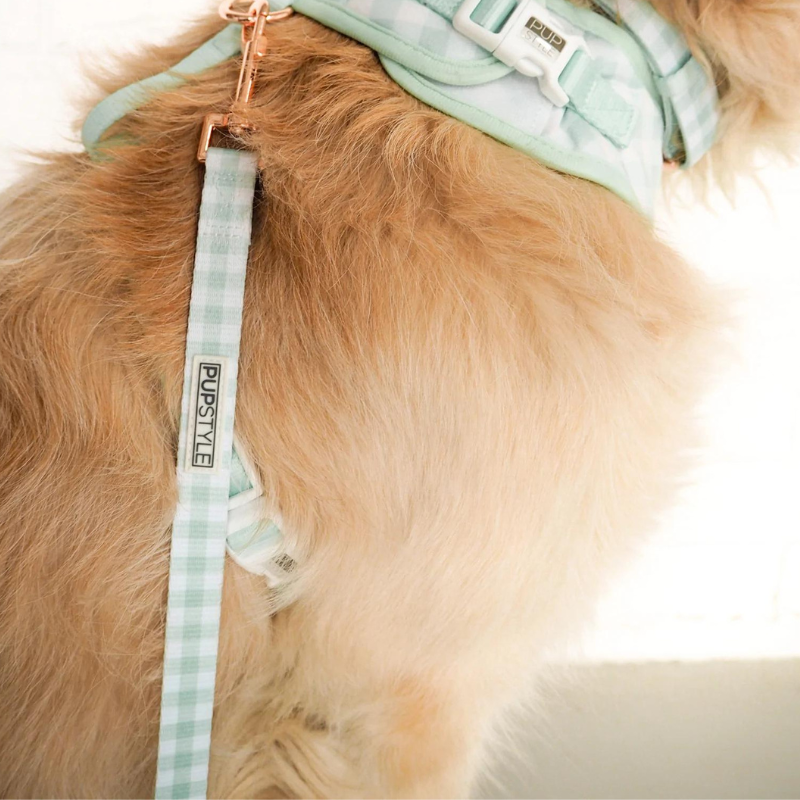 Sweet Apple | Suburban Dog Leash