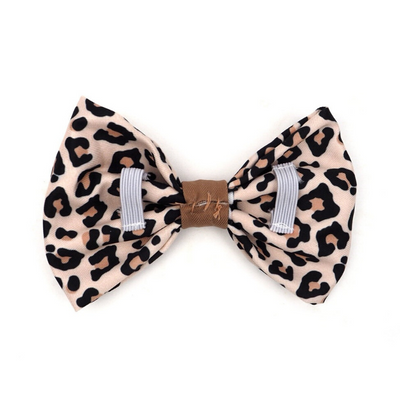 PUPSTYLE Wild One Bow Tie | Peticular