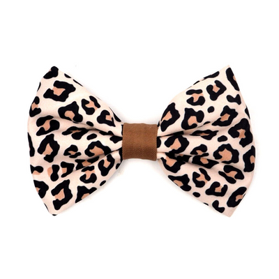 PUPSTYLE Wild One Bow Tie | Peticular