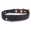 PUPSTYLE Blessed City Dog Collar | Peticular