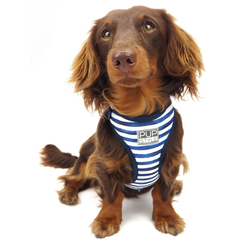 PUPSTYLE Stripe Squad Dog Harness | Peticular