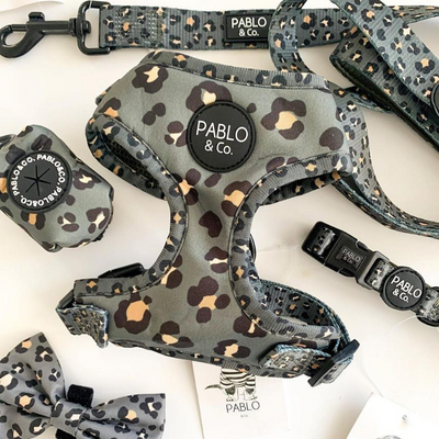 Pablo & Co. The Khaki Leopard Dog Collar | Peticular