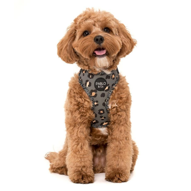 Pablo & Co. Adjustable Dog Harness | The Khaki Leopard | Peticular