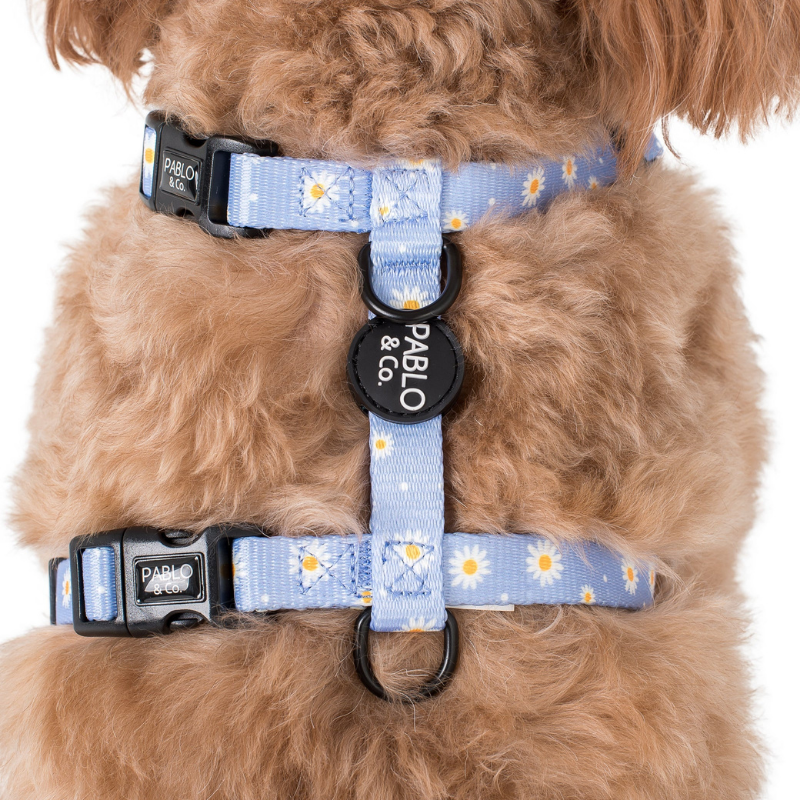 Blue Daisy | Dog Strap Harness