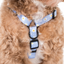 Blue Daisy | Dog Strap Harness