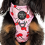 Cherries | Adjustable Dog Harness
