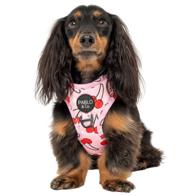 Cherries | Adjustable Dog Harness