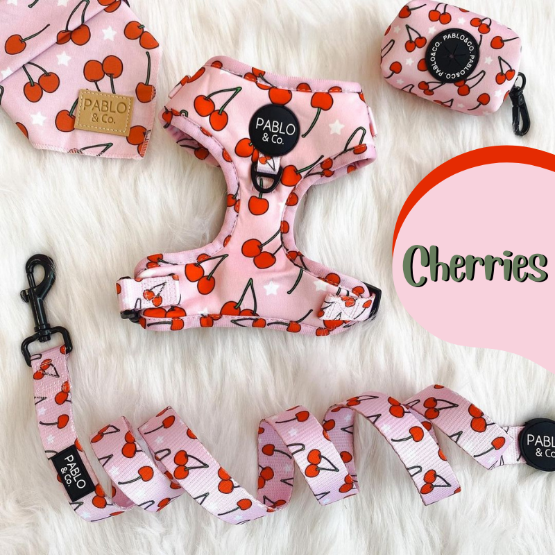 Cherries Dog Leash