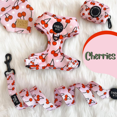 Cherries Dog Collar