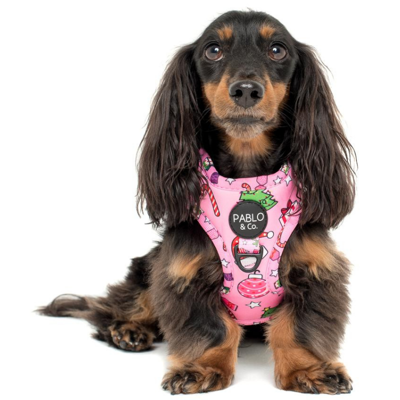 Christmas Wonderland | Adjustable Dog Harness