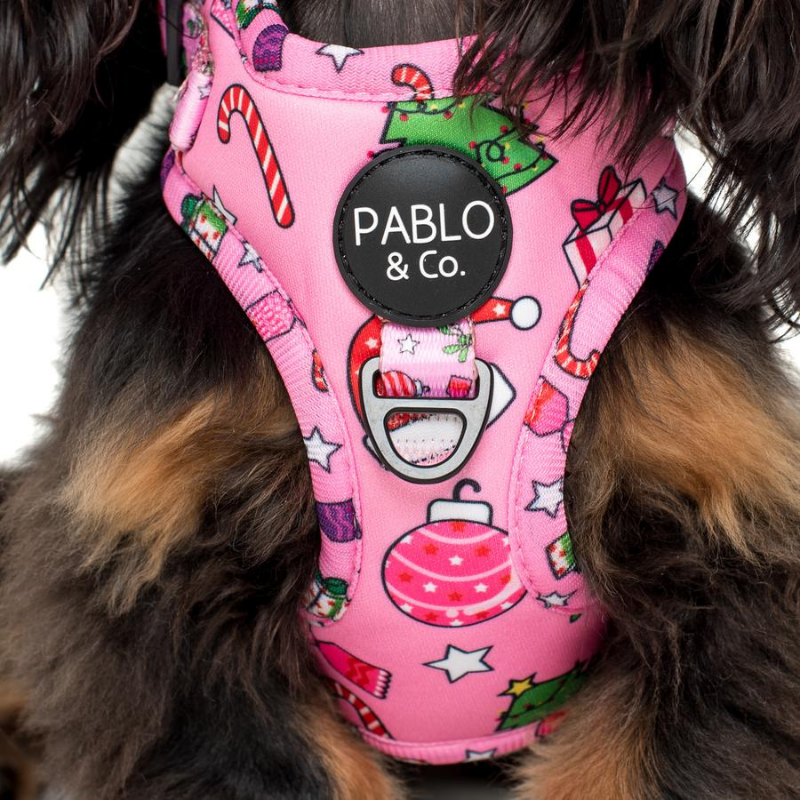 Christmas Wonderland | Adjustable Dog Harness