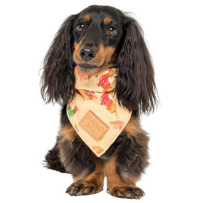 Doxie Christmas | Tie-Up Bandana