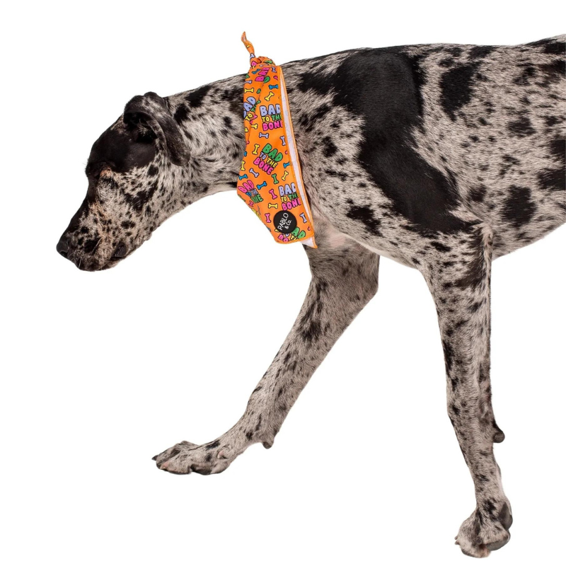 Halloween Dog Bandana | Bad To The Bone