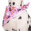 Halloween Dog Bandana | Glitter & Ghosts