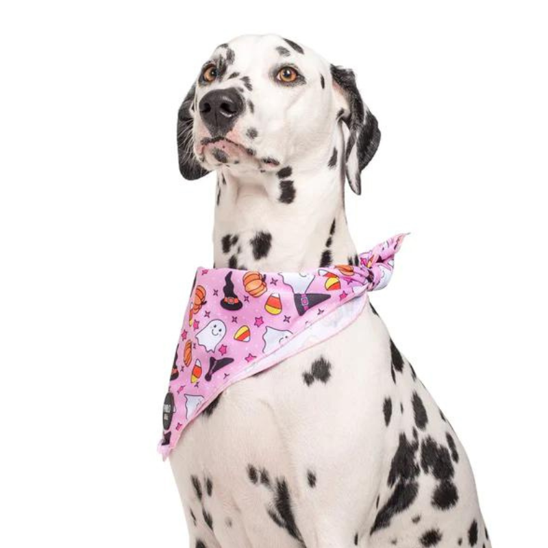 Halloween Dog Bandana | Glitter & Ghosts