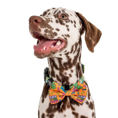 Halloween Dog Bow Tie | Bad To The Bone