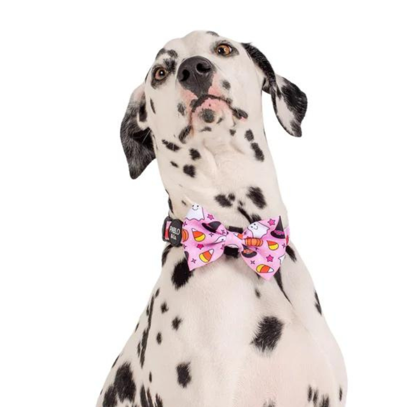 Halloween Dog Bow Tie | Glitter & Ghosts