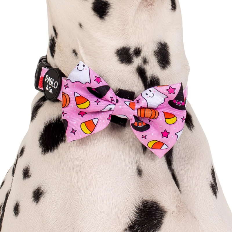 Halloween Dog Bow Tie | Glitter & Ghosts