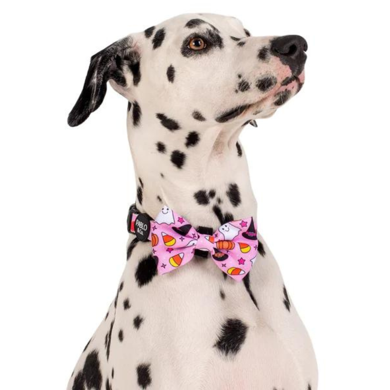 Pablo Co. Halloween Dog Bow Tie Glitter Ghosts Peticular