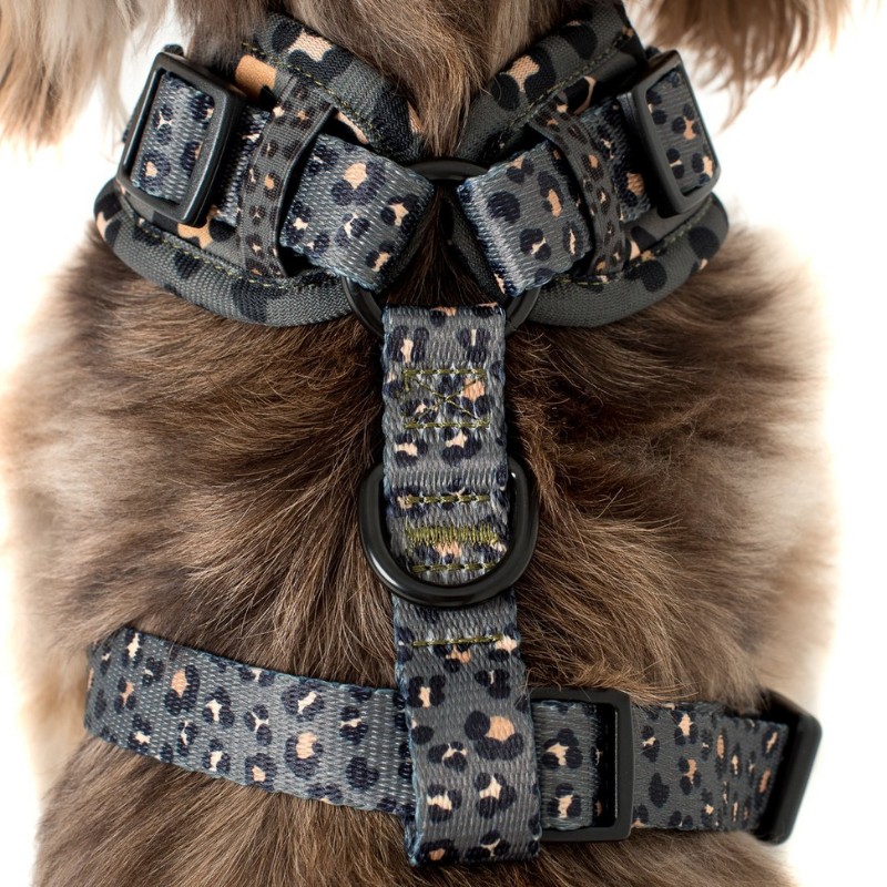 The Khaki Leopard | Adjustable Dog Harness