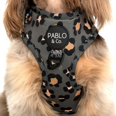 The Khaki Leopard | Adjustable Dog Harness