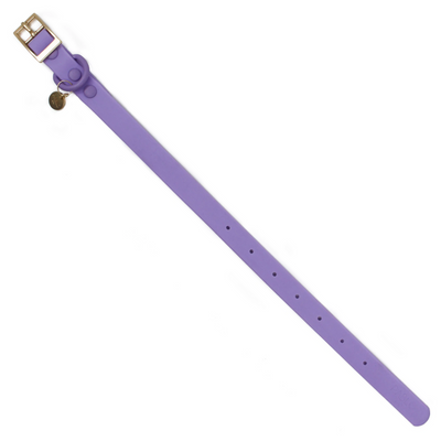Lilac Waterproof Collar