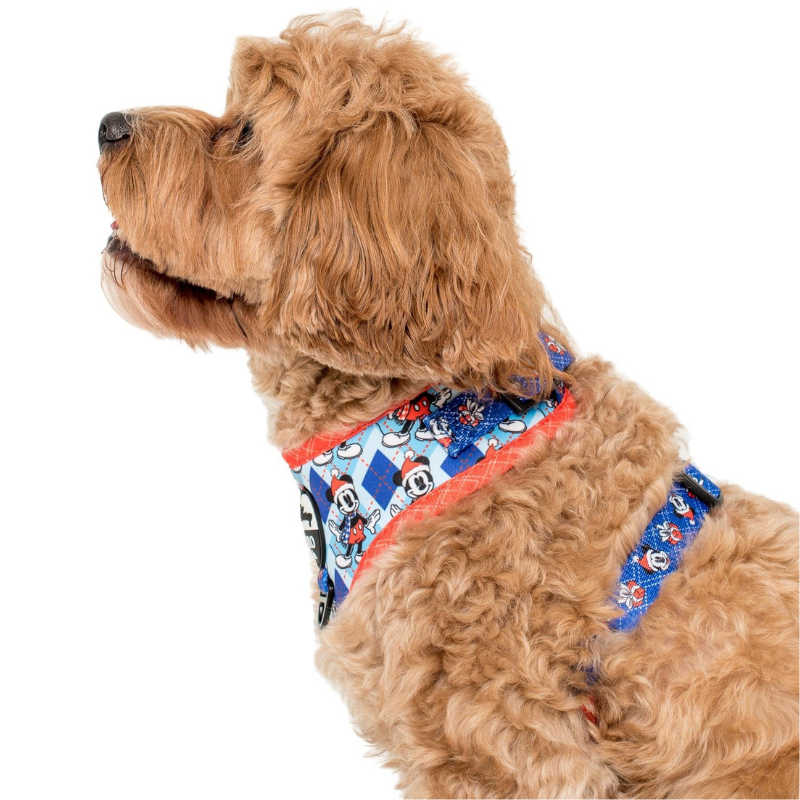 Bobs for dogs harness sales