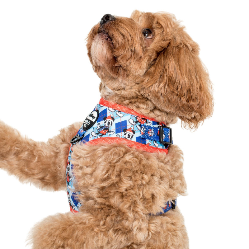 Christmas dog harness on sale