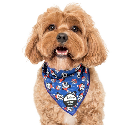 Mickey's Magical Christmas | Dog Bandana