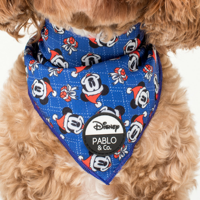 Mickey's Magical Christmas | Dog Bandana
