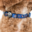 Mickey's Magical Christmas | Dog Collar