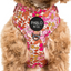 Pink Posies | Adjustable Dog Harness