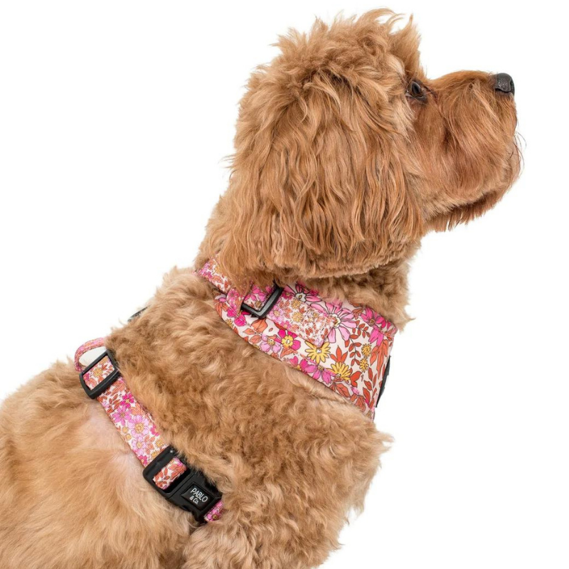 Pink Posies | Adjustable Dog Harness