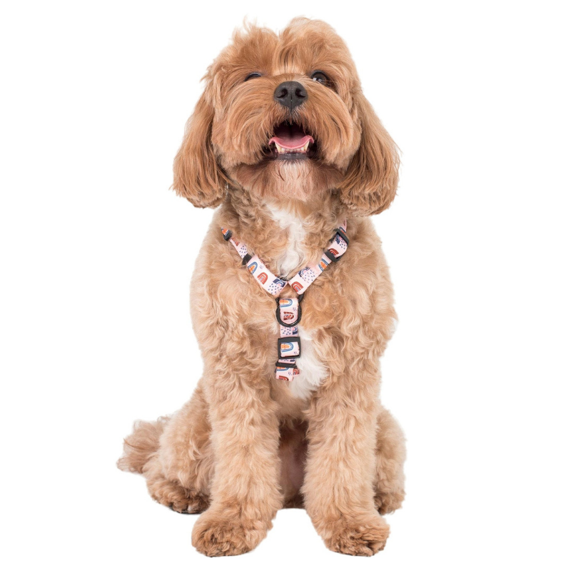 Pink Rainbows | Dog Strap Harness