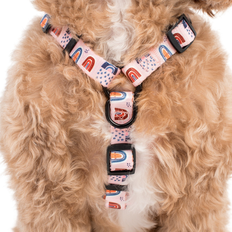 Pink Rainbows | Dog Strap Harness