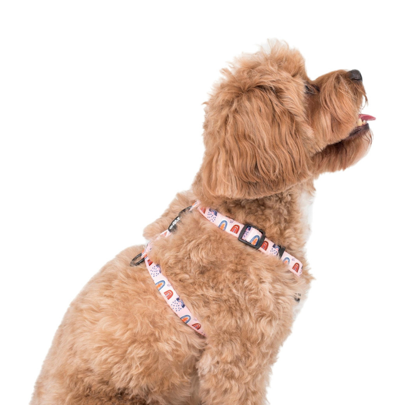Pink Rainbows | Dog Strap Harness