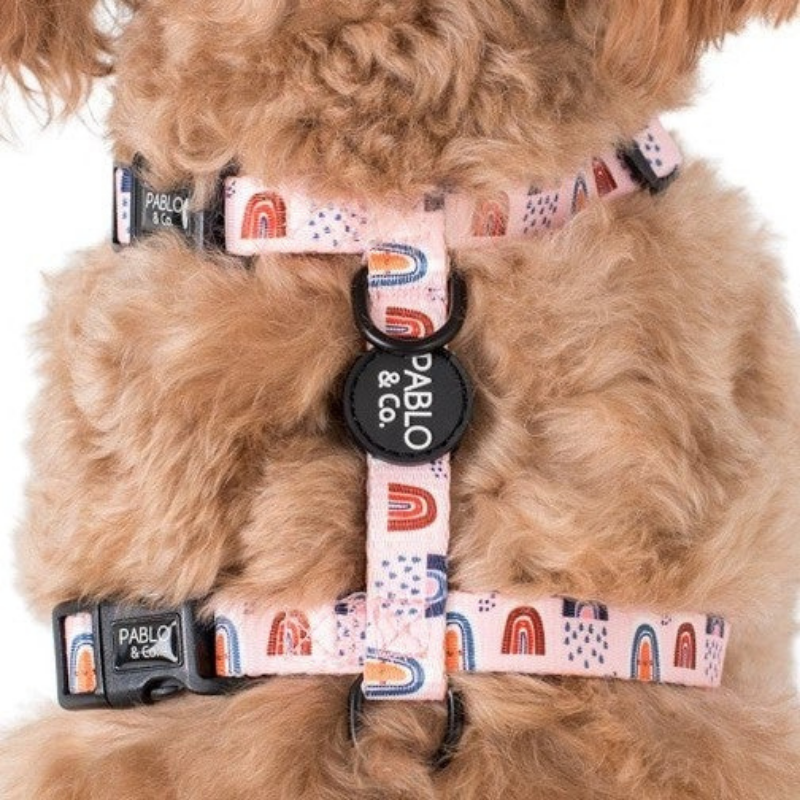 Pink Rainbows | Dog Strap Harness