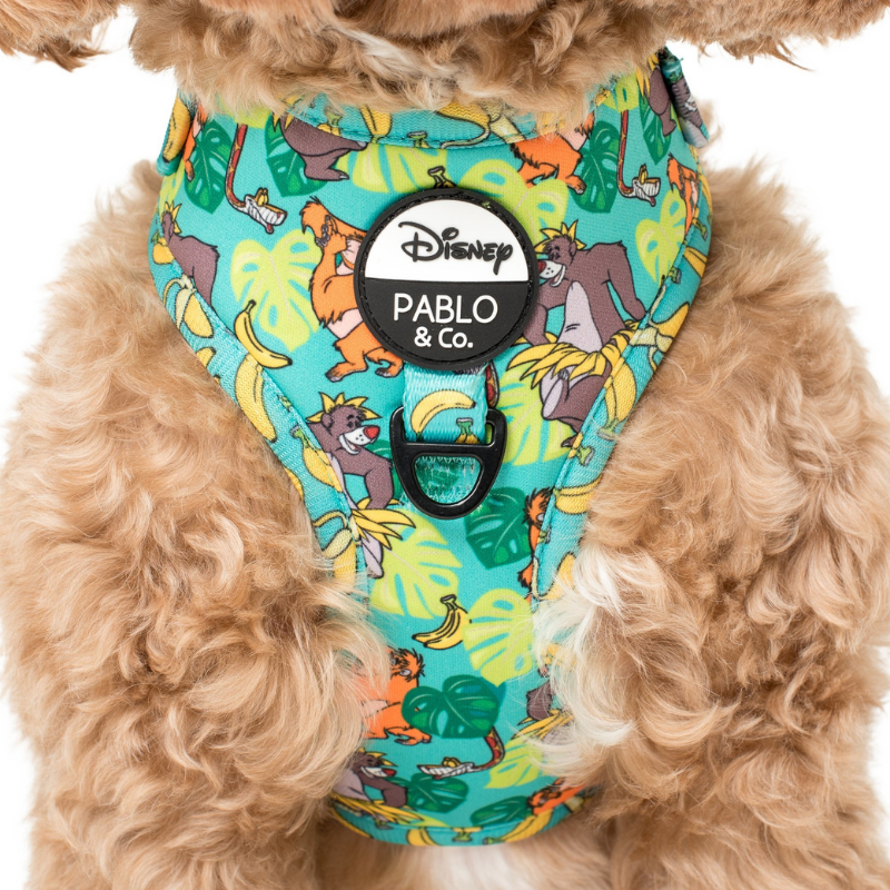 The Jungle Book | Adjustable Dog Harness