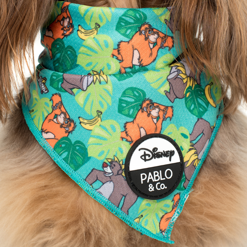 The Jungle Book | Dog Bandana