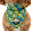 Toy Story: Aliens | Dog Bandana