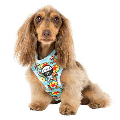 Toy Story: Slinky Dog | Adjustable Dog Harness